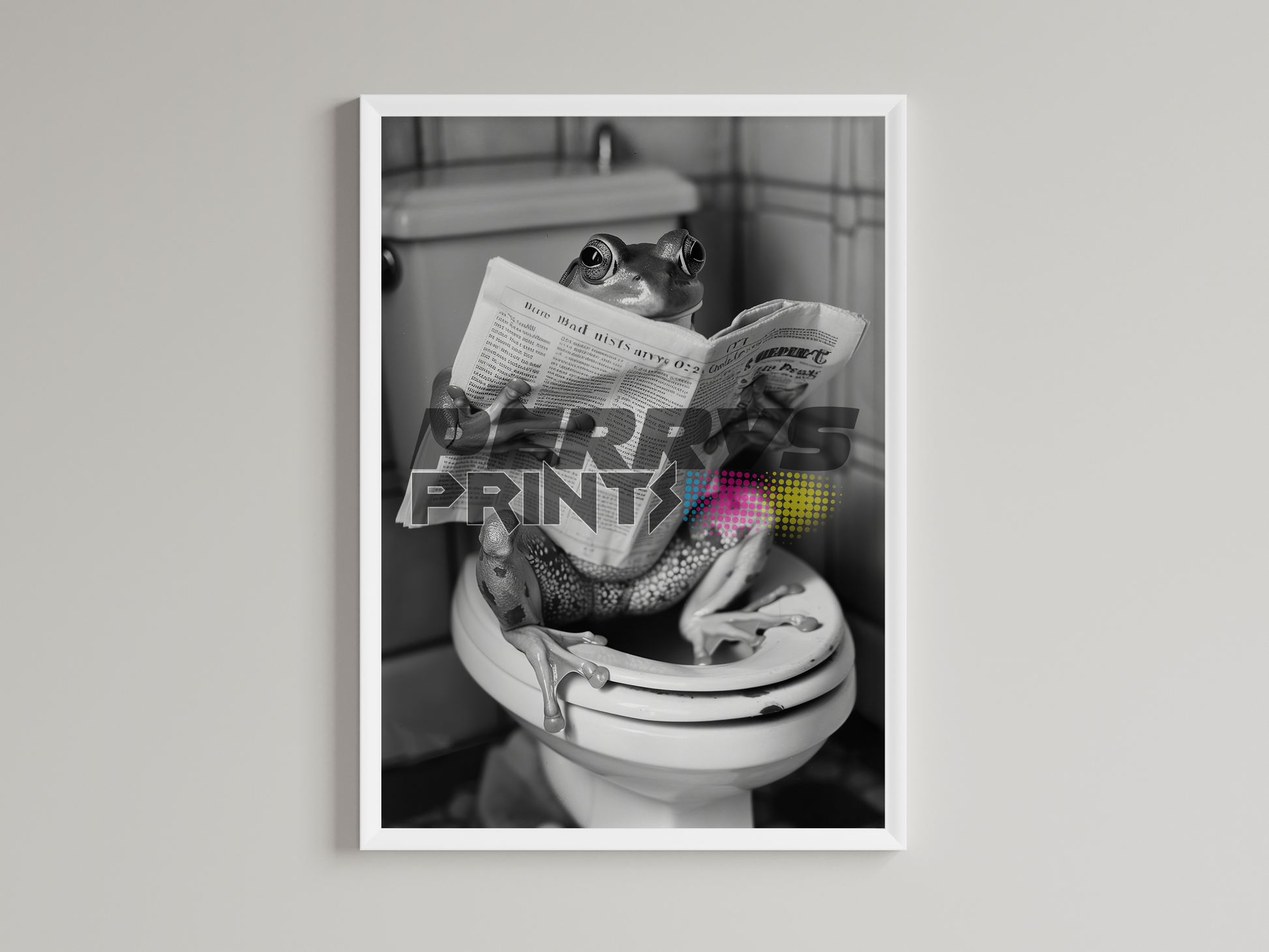 Frog Black And White On Toilet