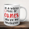 In A World Full Of Cunts Your My Favourite Mug front view - white ceramic printed mug by Perrys Prints