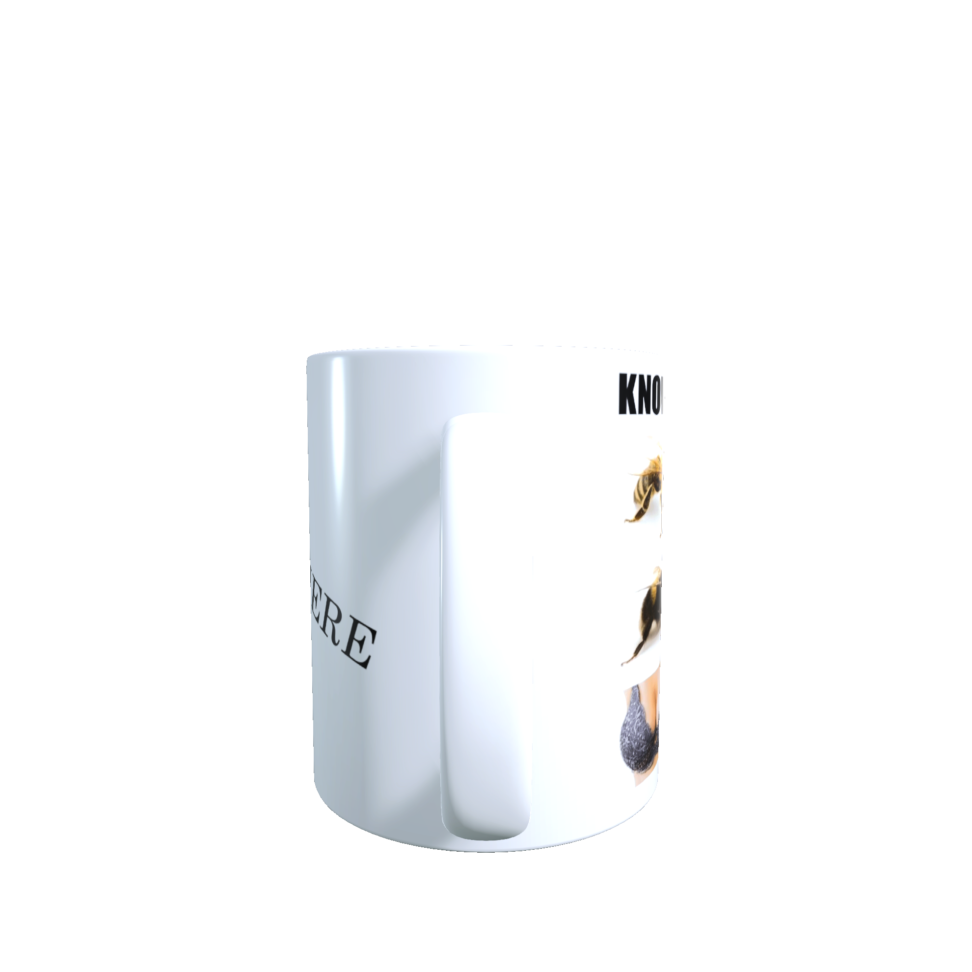 Know Your Bees Mug