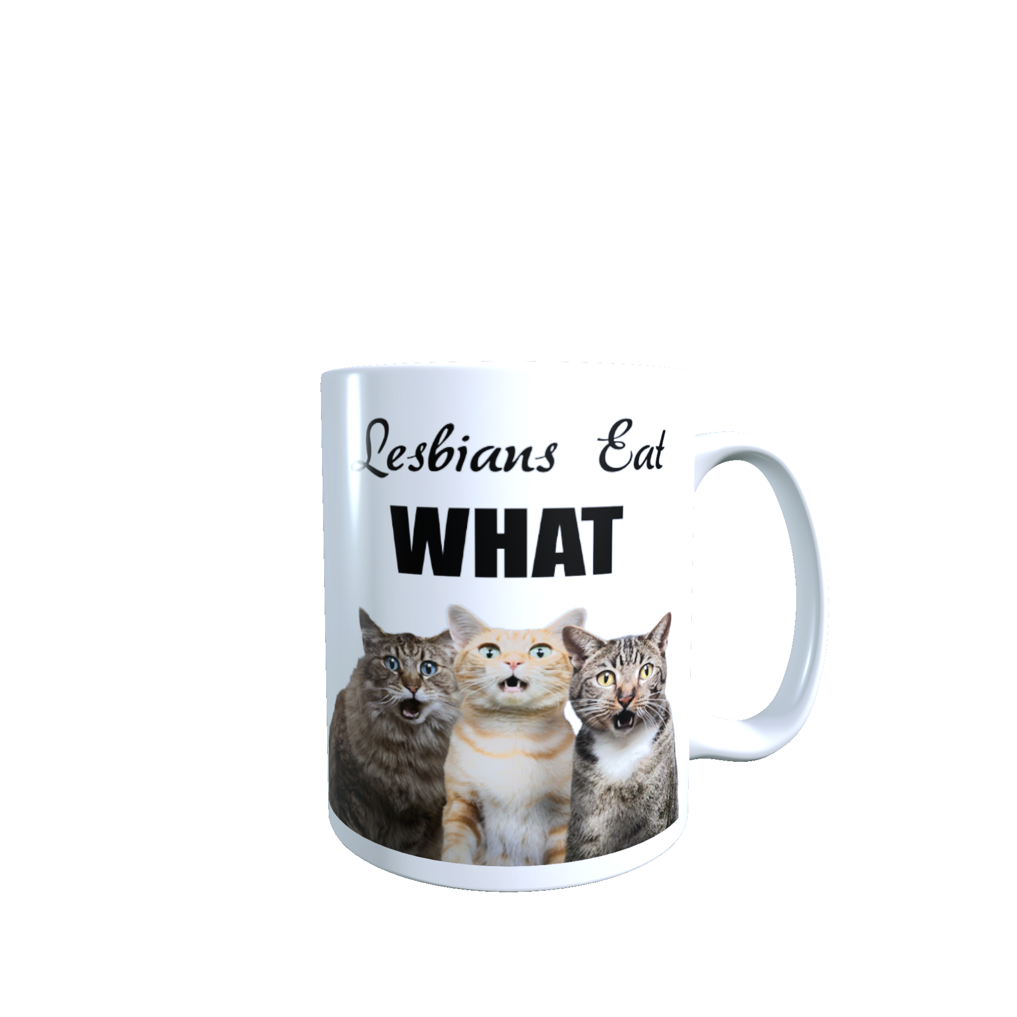 Lesbians Eat What Mug