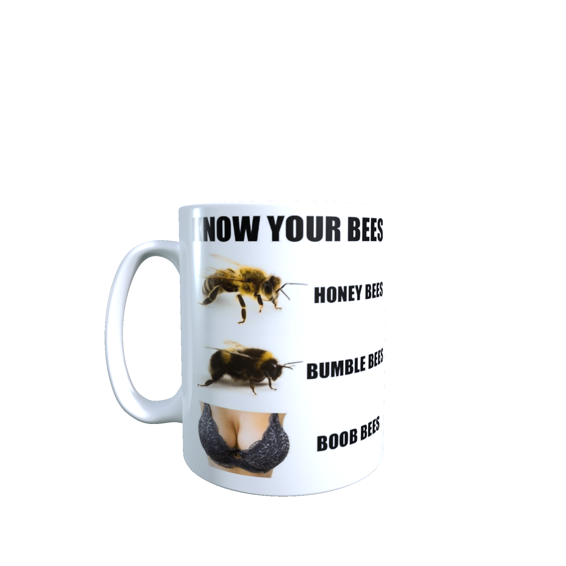 Know Your Bees Mug