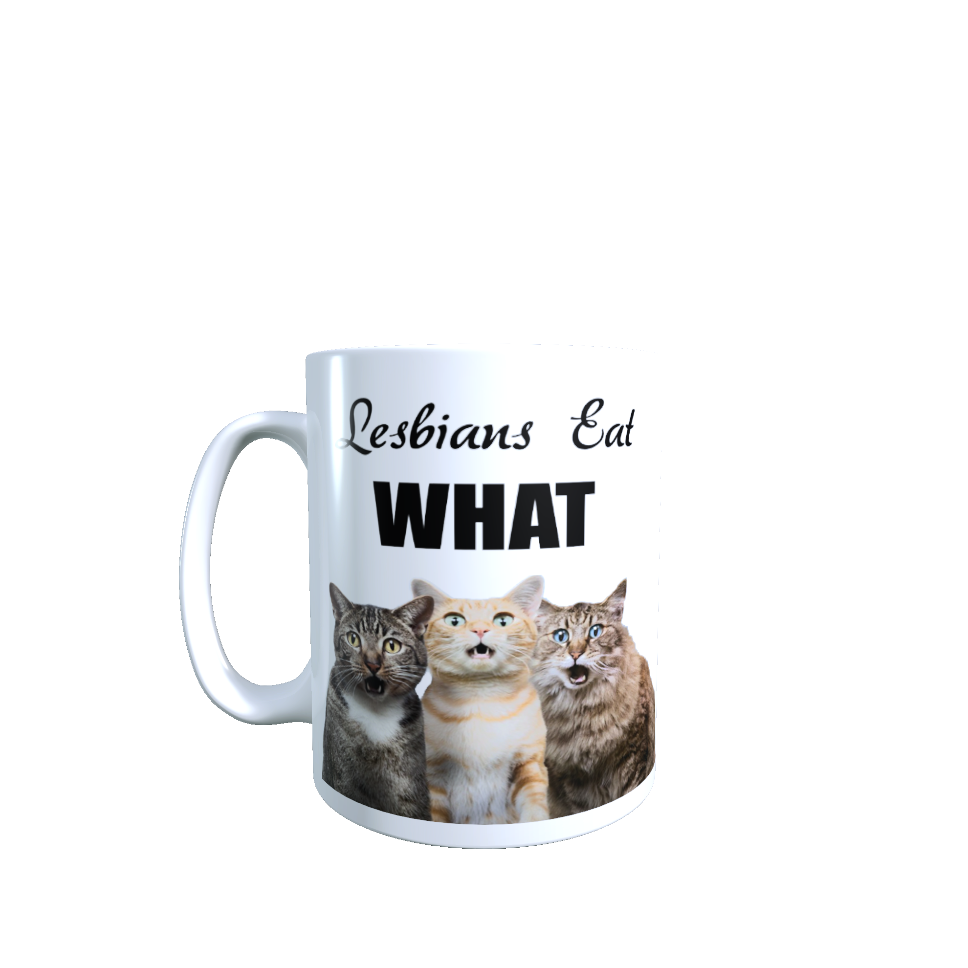 Lesbians Eat What Mug