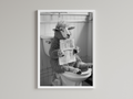 Sheep Black And White On Toilet Print