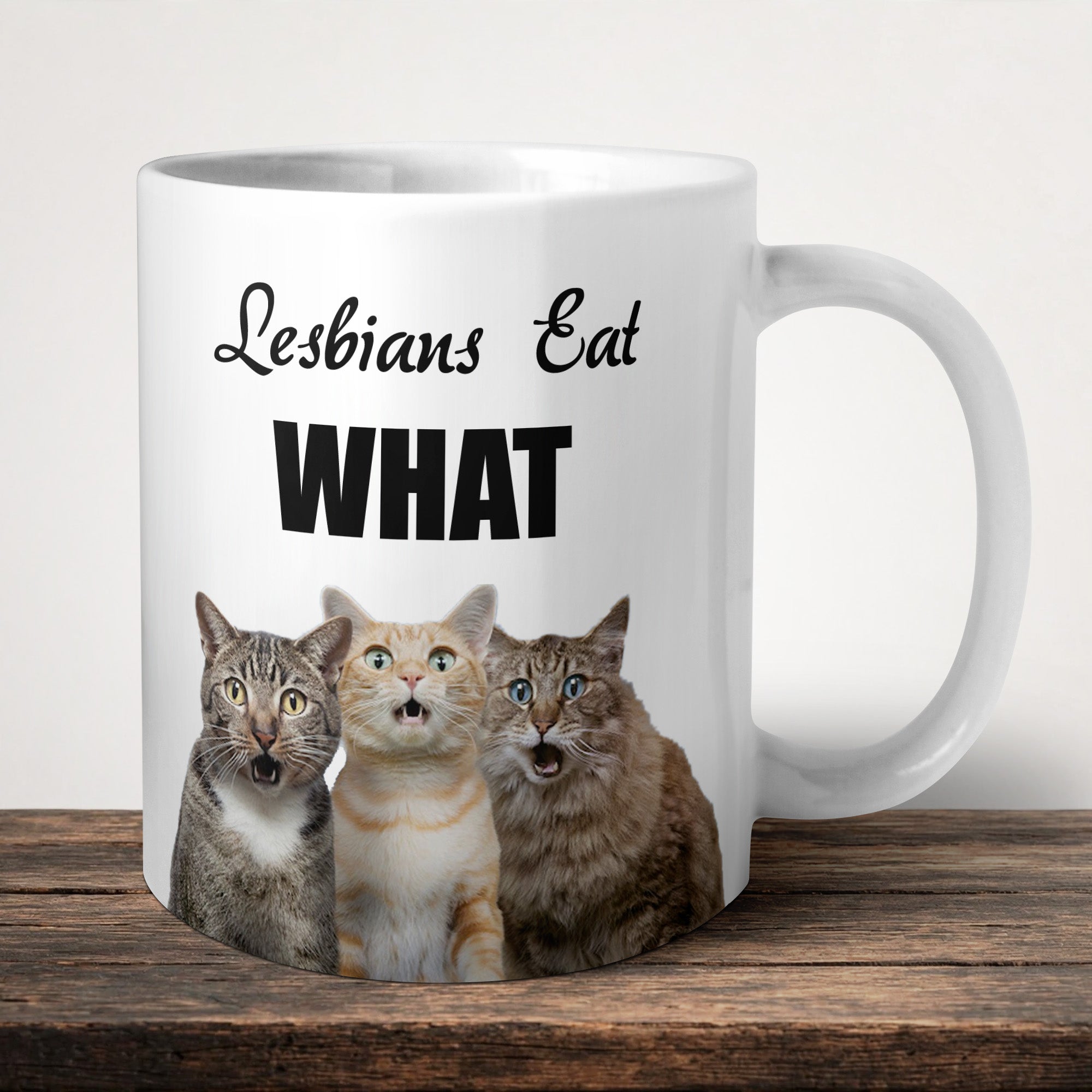 Lesbians Eat What Mug front view - white ceramic printed mug by Perrys Prints